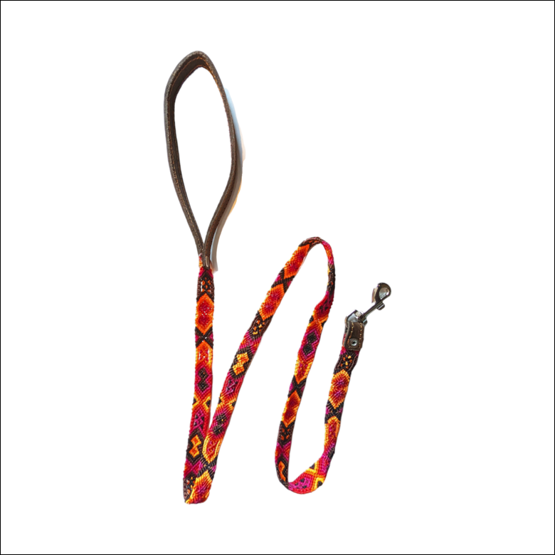 Hand Braided Dog Leash with Leather Handle