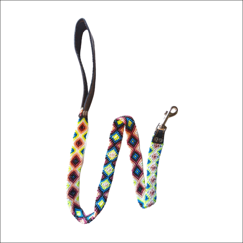 Hand Braided Dog Leash with Leather Handle